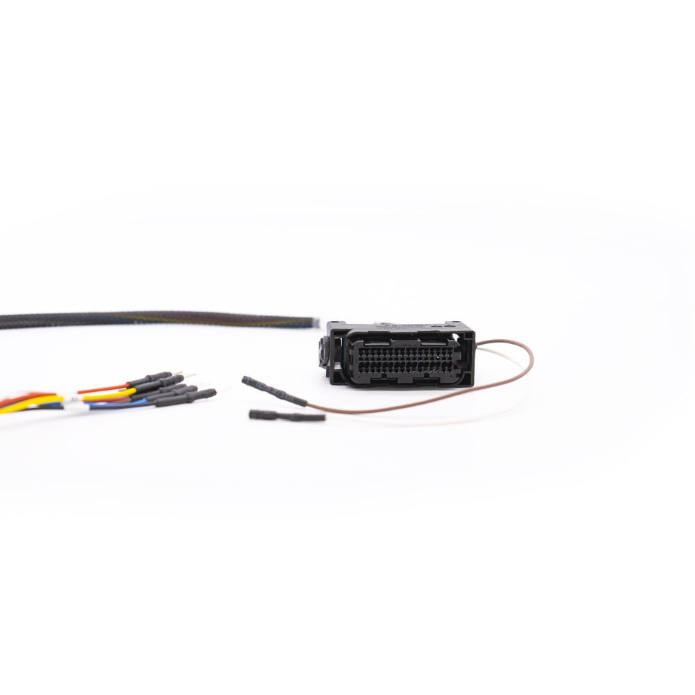 Cable de la ECU MEVD17.2.G - FLX2.63 - Magic Motor Sport España
