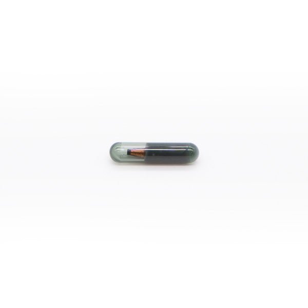 Transponder 48 CHIP - Magic Motor Sport España