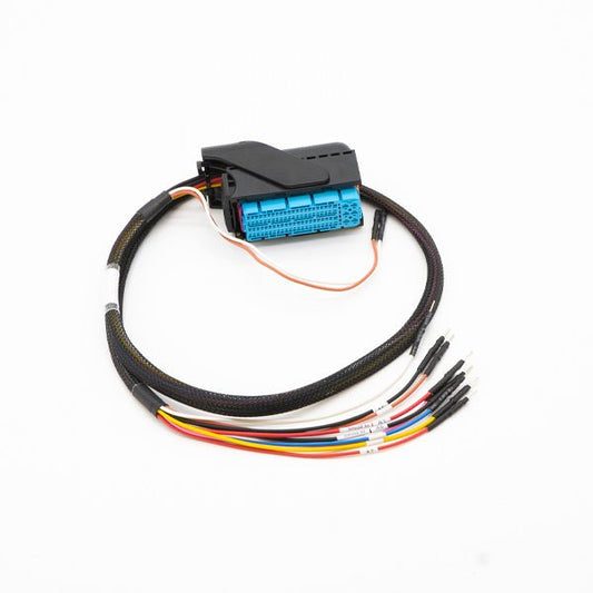 Cable de conexión: Continental Simos8.xx - Magic Motor Sport España