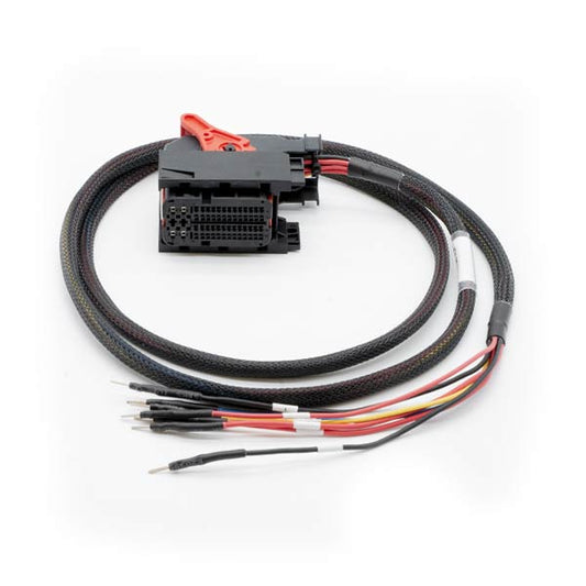 Cable de conexión: DENSO_xx - Magic Motor Sport España