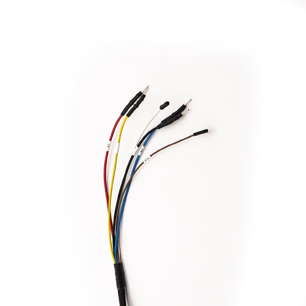 Cable de conexión ECU TRW_EMS2.x - Magic Motor Sport España