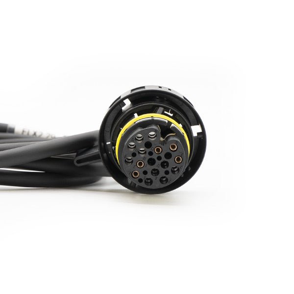 Cable de conexión: FLEXBox puerto F a ZF 8HP Tipo 2 - Magic Motor Sport España