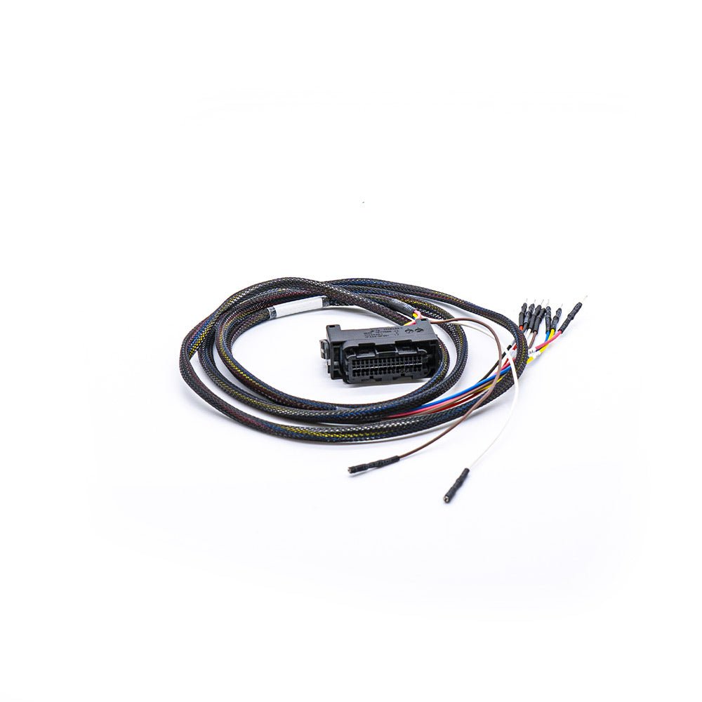 Cable de la ECU MEVD17.2.G - FLX2.63 - Magic Motor Sport España