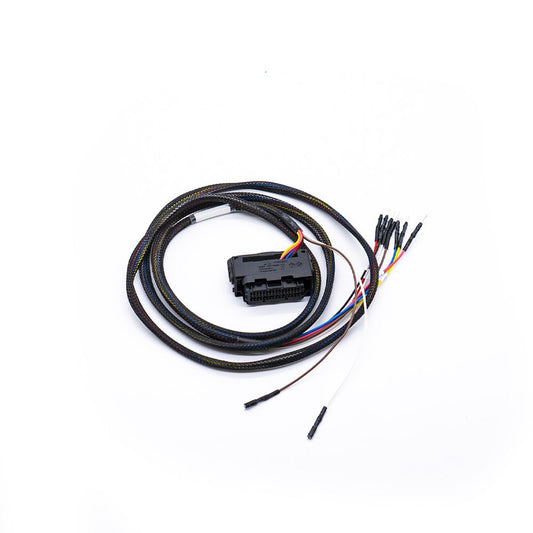 Cable de la ECU MEVD17.2.G - FLX2.63 - Magic Motor Sport España