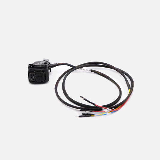Cable de conexión: Cable de la ECU Toyota GEN 3