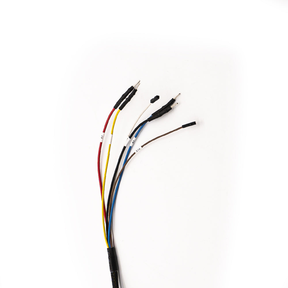 Cable de conexión ECU TRW_EMS2.x