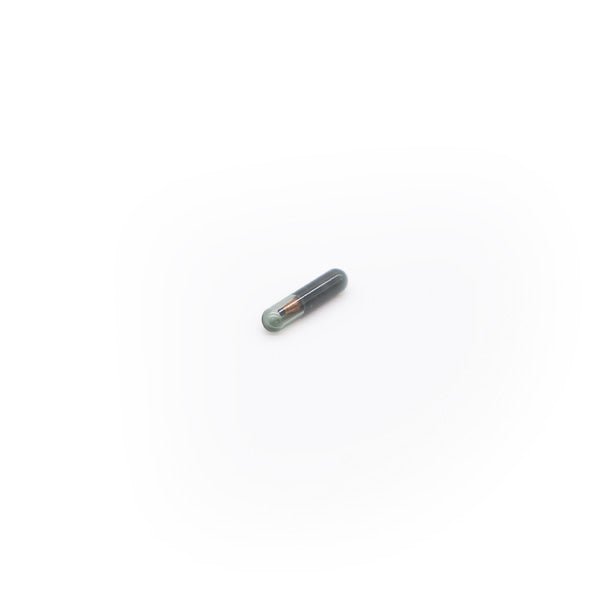 Transponder 48 CHIP - Magic Motor Sport España