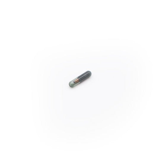 Transponder 48 CHIP - Magic Motor Sport España